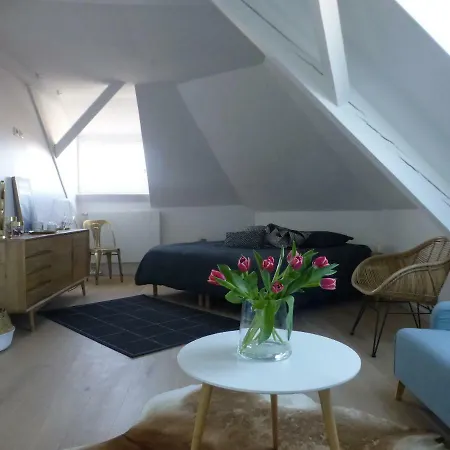 Accommodatie bij particulieren Cote Toit Colmar